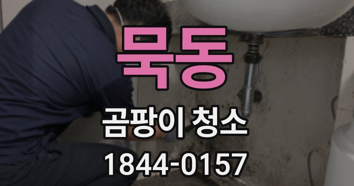 묵동 곰팡이 청소