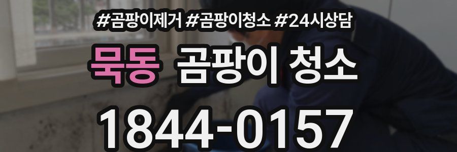 묵동 곰팡이 청소