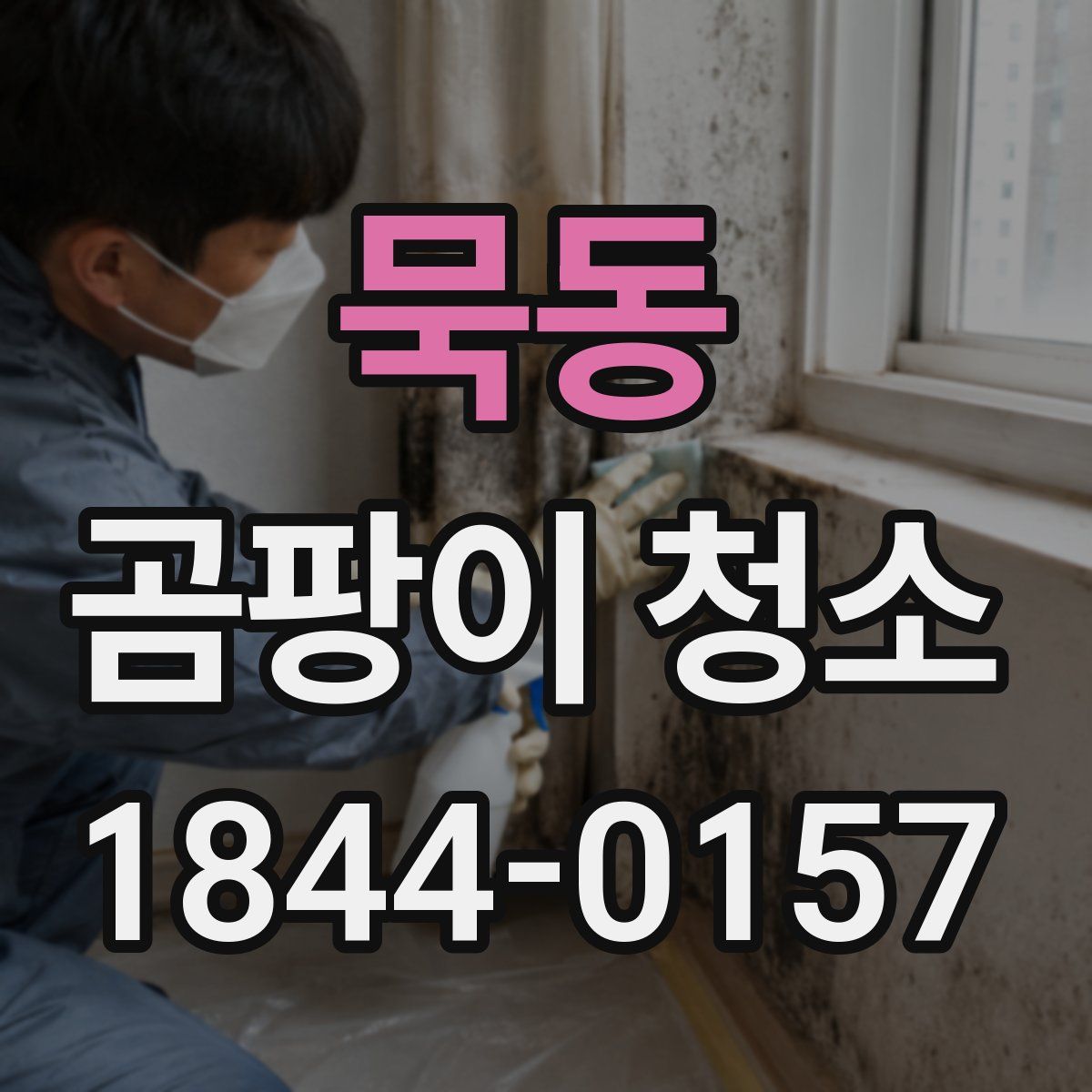 묵동 곰팡이 청소