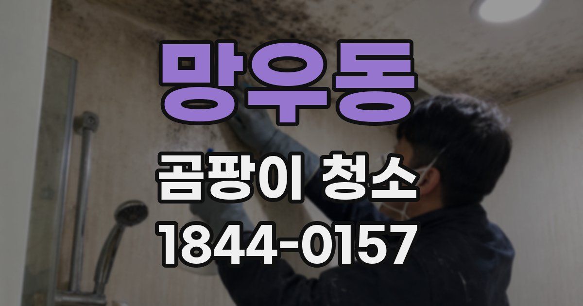 망우동 곰팡이 청소