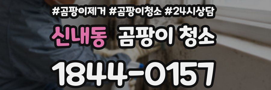 신내동 곰팡이 청소