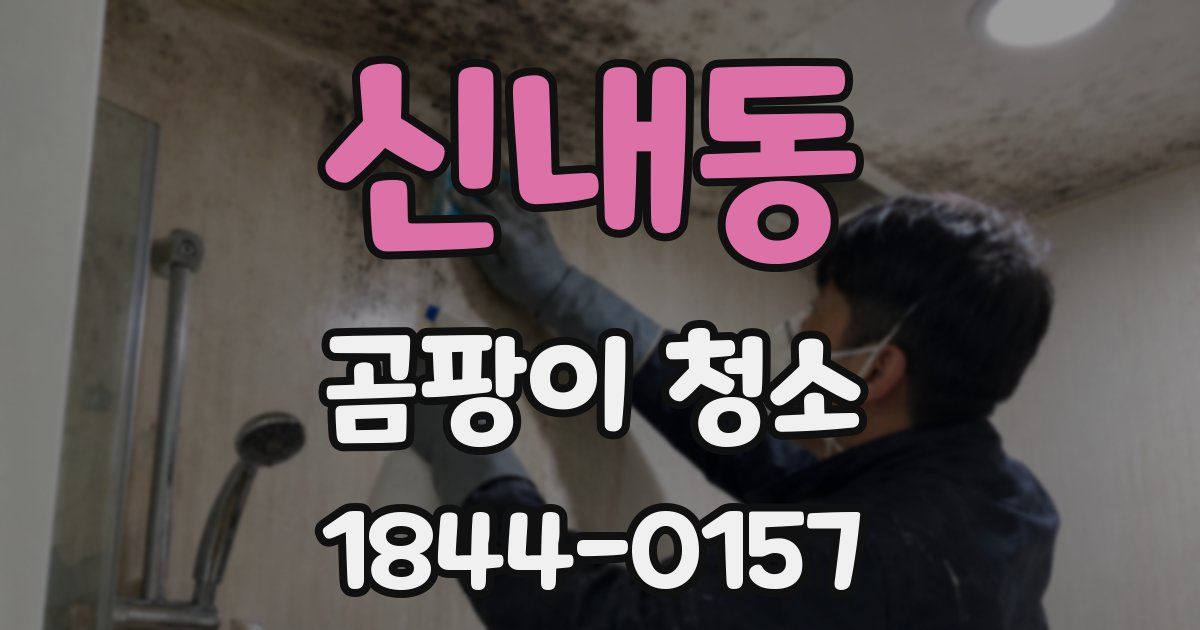 신내동 곰팡이 청소