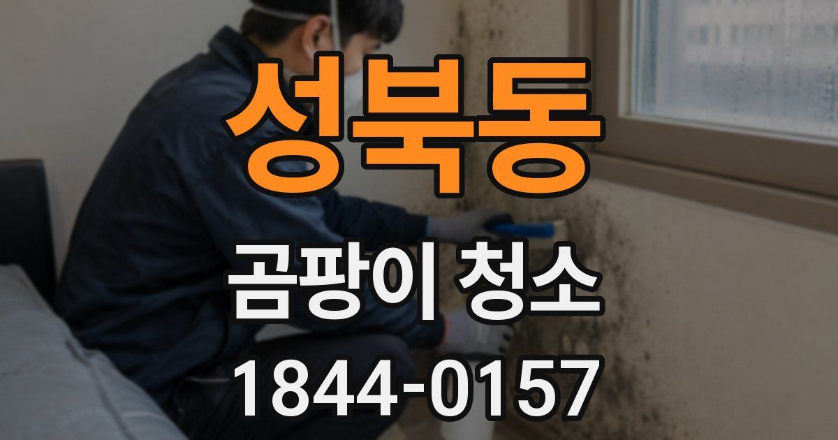 성북동 곰팡이 청소