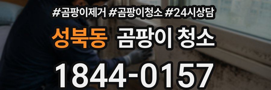 성북동 곰팡이 청소