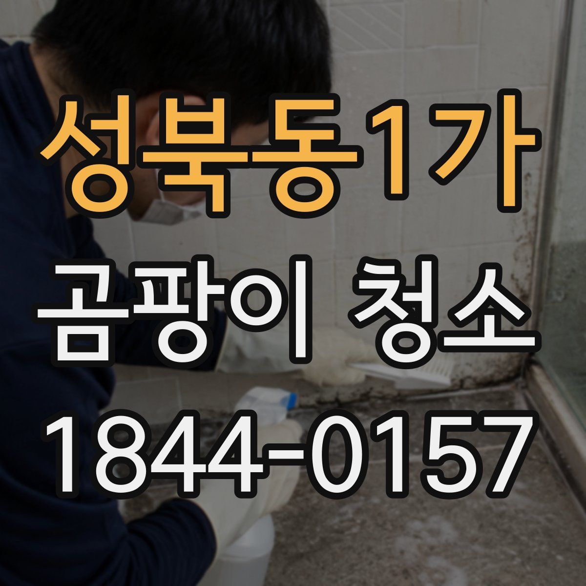 성북동1가 곰팡이 청소