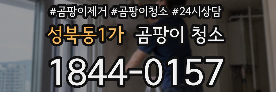성북동1가 곰팡이 청소