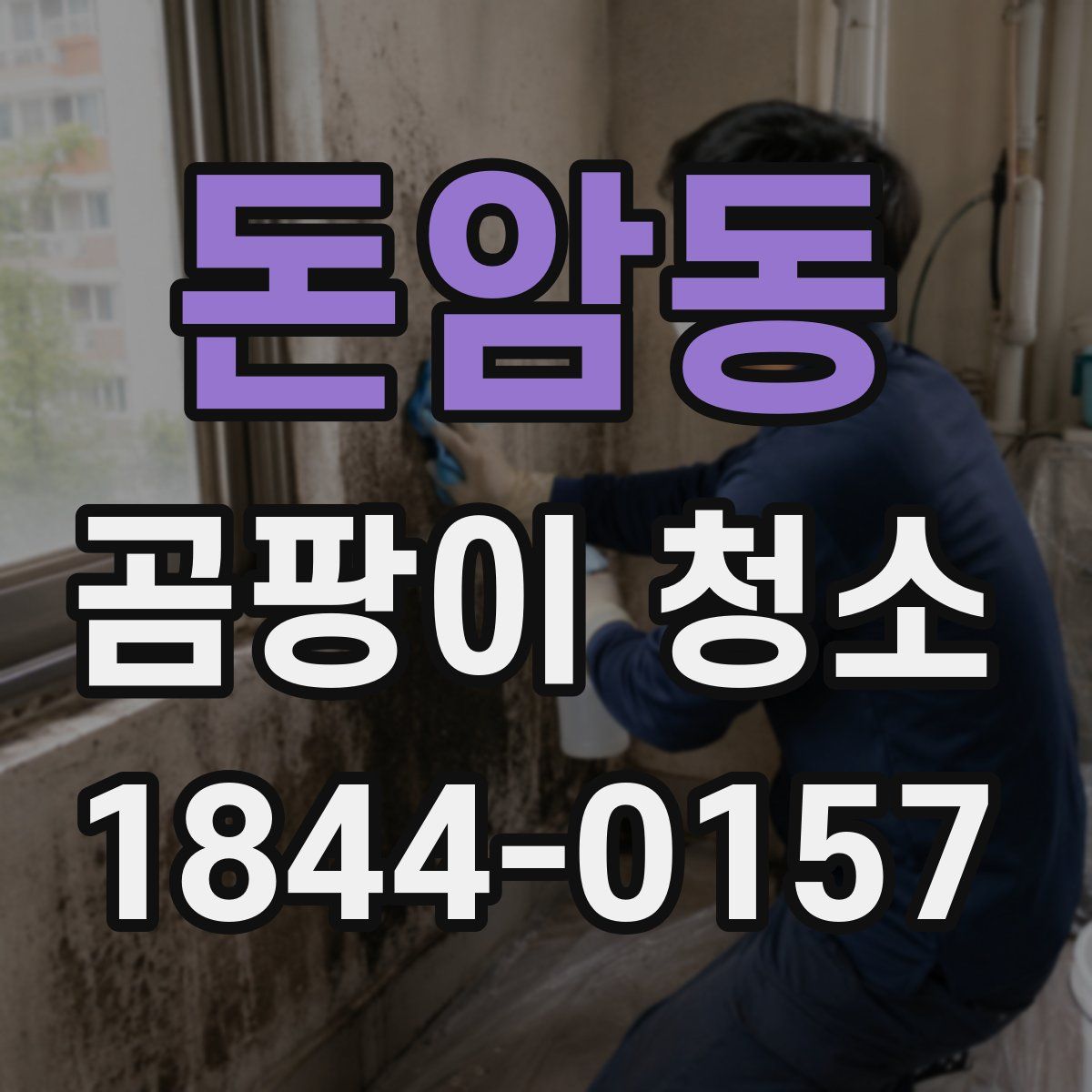 돈암동 곰팡이 청소