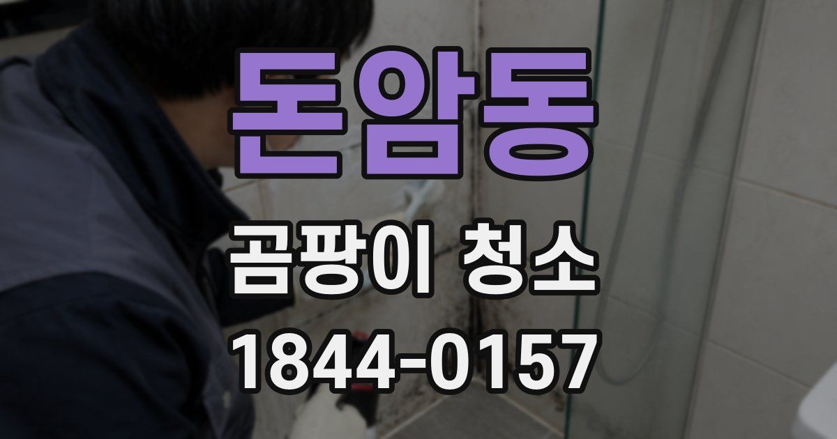 돈암동 곰팡이 청소
