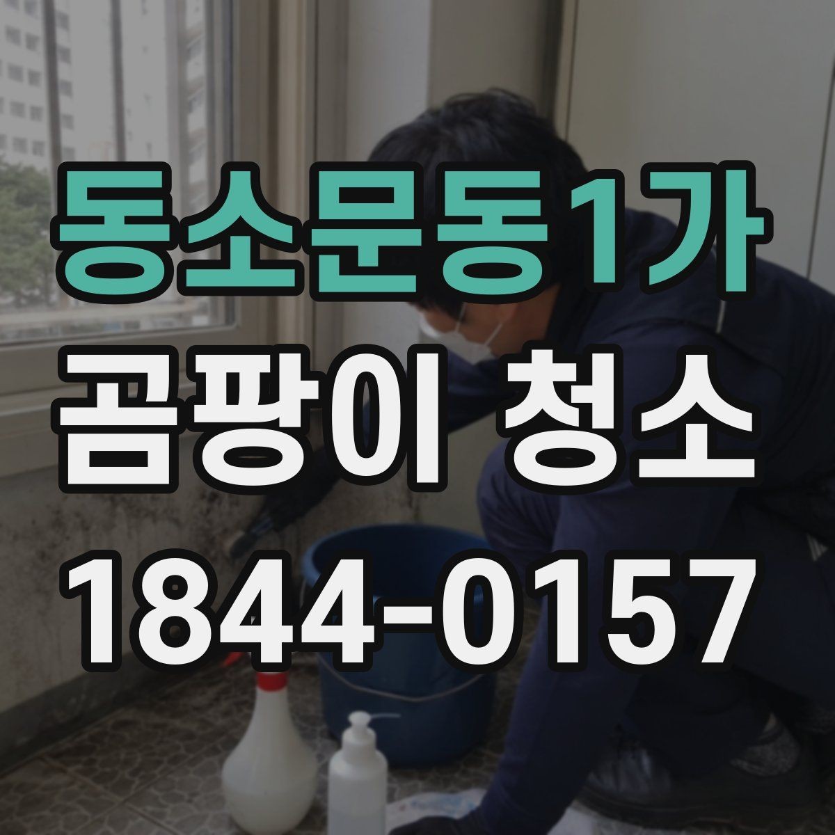 동소문동1가 곰팡이 청소 냄새가 먼저 느껴질 때 확인할 실내 항목