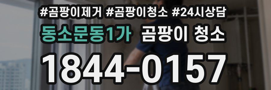 동소문동1가 곰팡이 청소