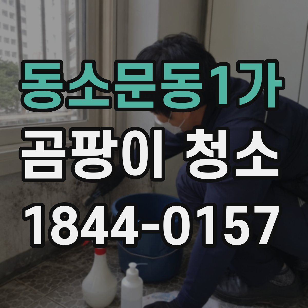 동소문동1가 곰팡이 청소