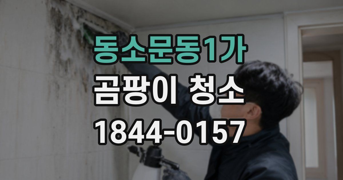 동소문동1가 곰팡이 청소