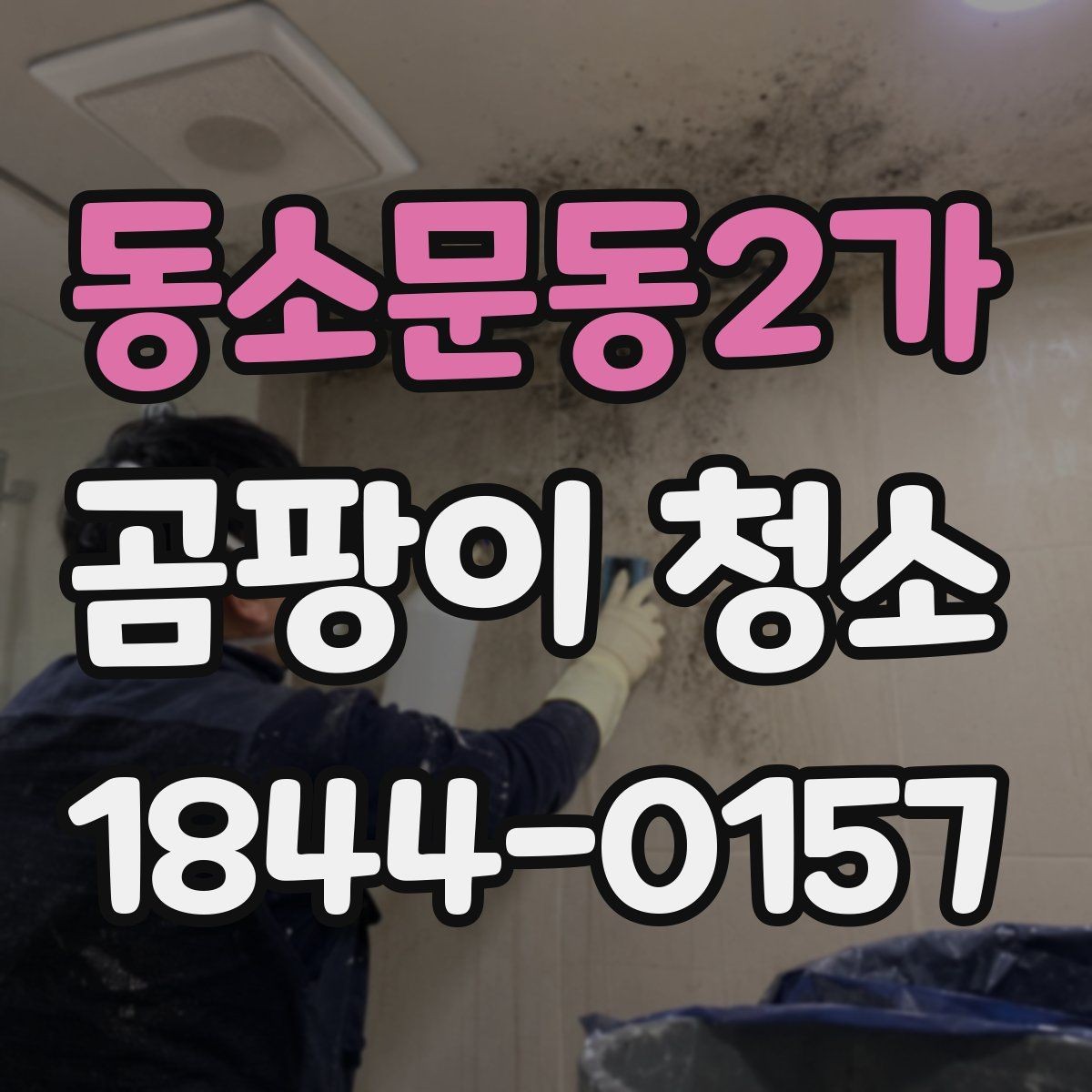 동소문동2가 곰팡이 청소 작업 전후 사진 기록이 필요한 이유