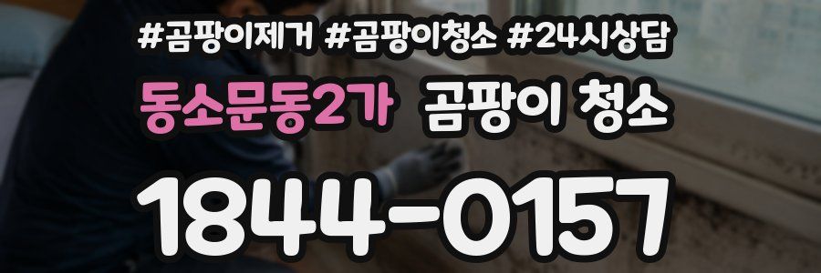 동소문동2가 곰팡이 청소