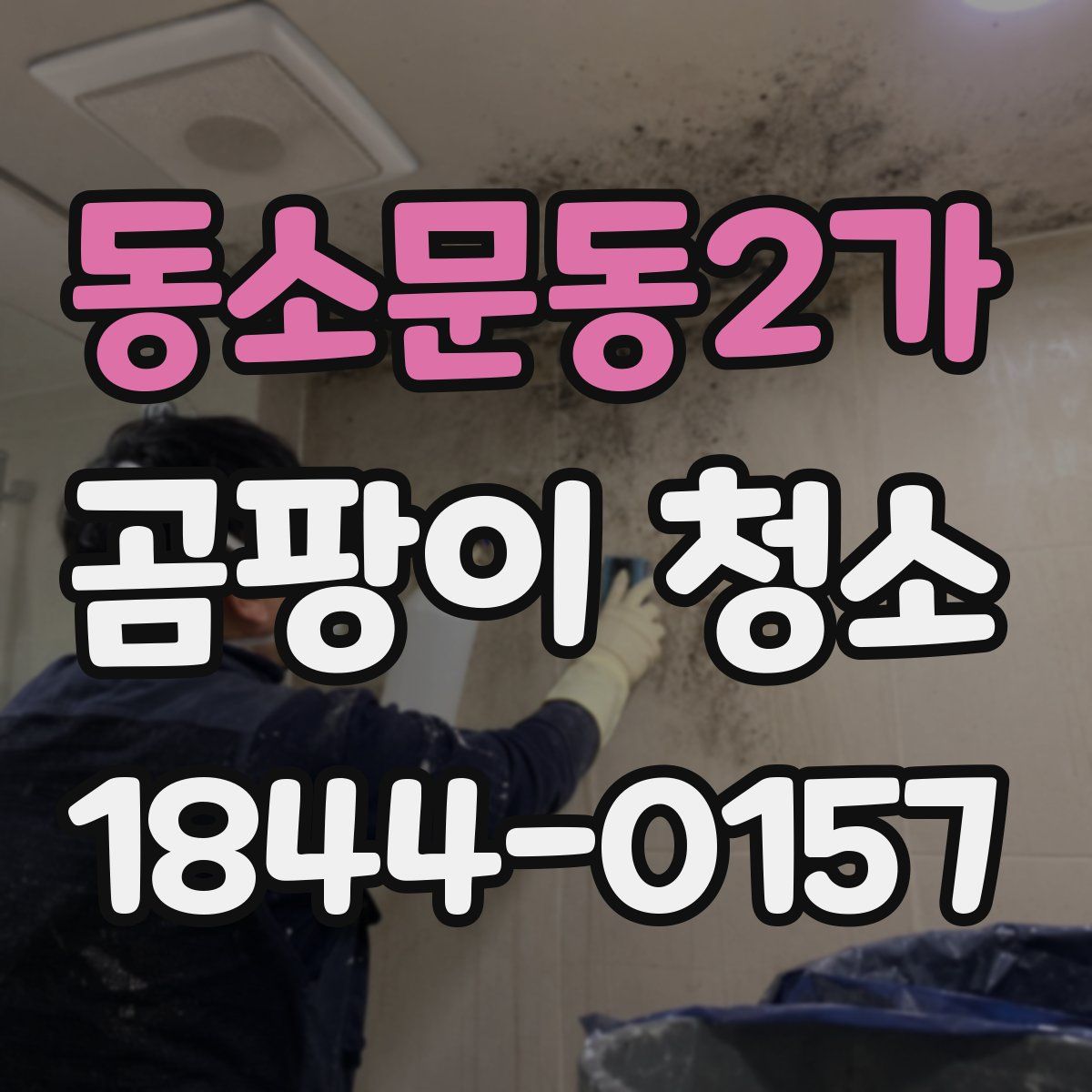 동소문동2가 곰팡이 청소