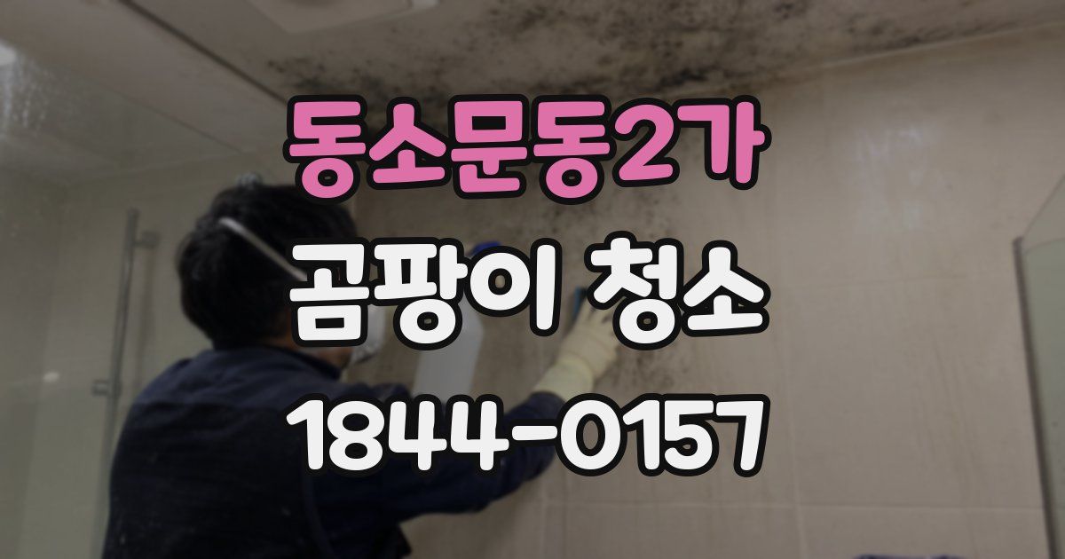 동소문동2가 곰팡이 청소