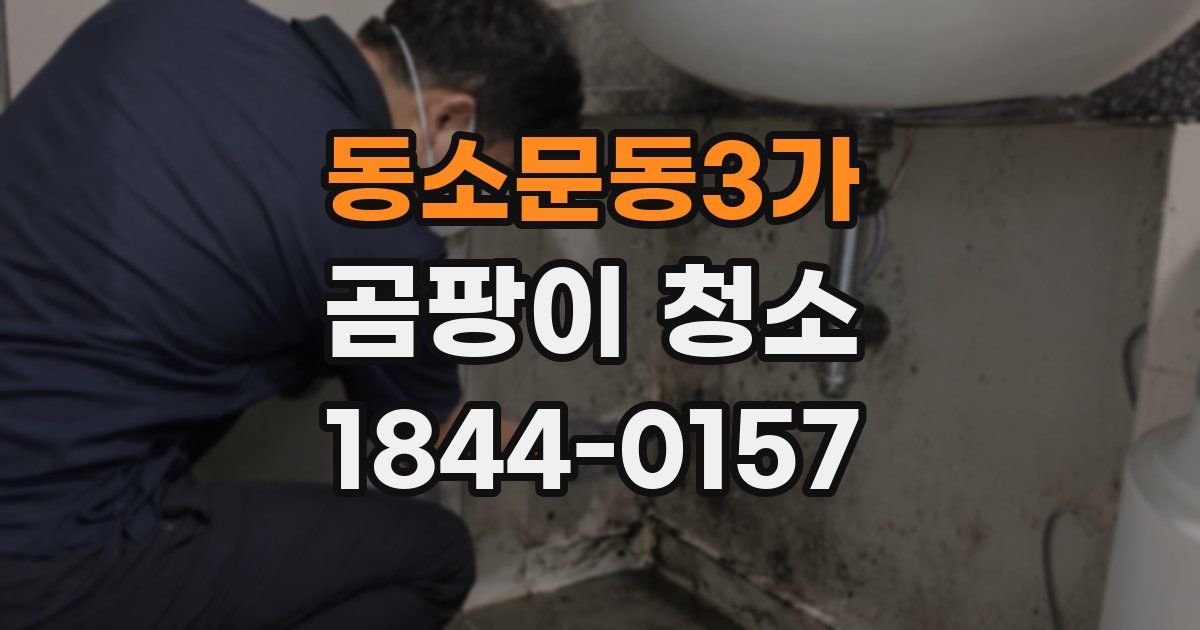 동소문동3가 곰팡이 청소