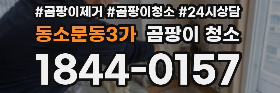 동소문동3가 곰팡이 청소