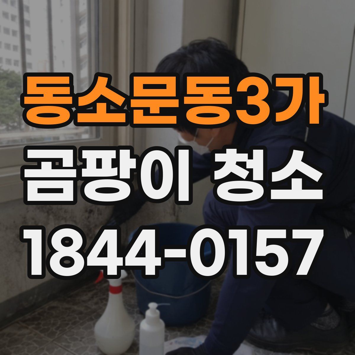 동소문동3가 곰팡이 청소