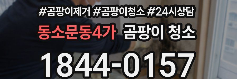 동소문동4가 곰팡이 청소