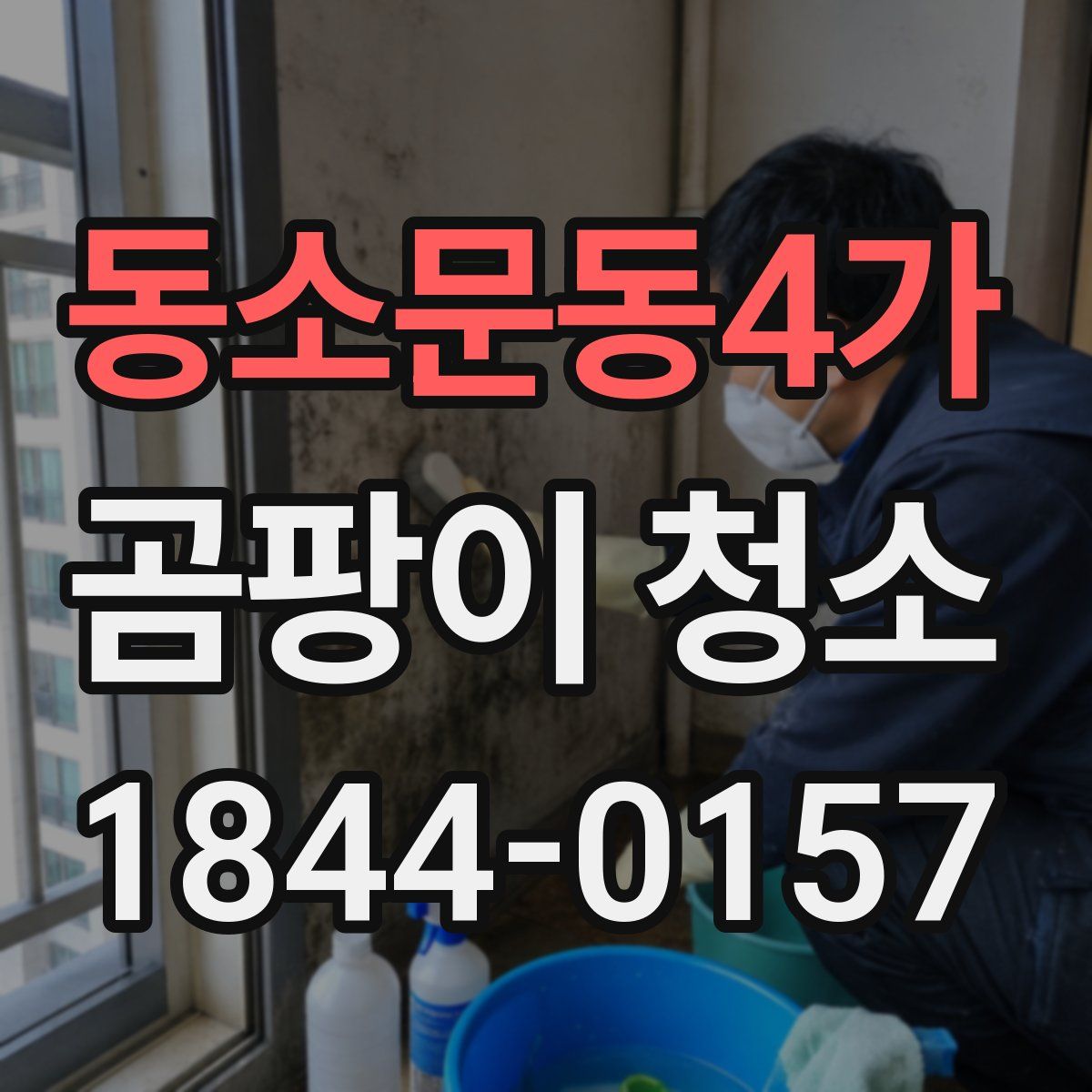 동소문동4가 곰팡이 청소