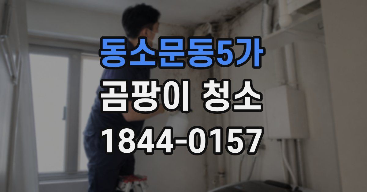 동소문동5가 곰팡이 청소