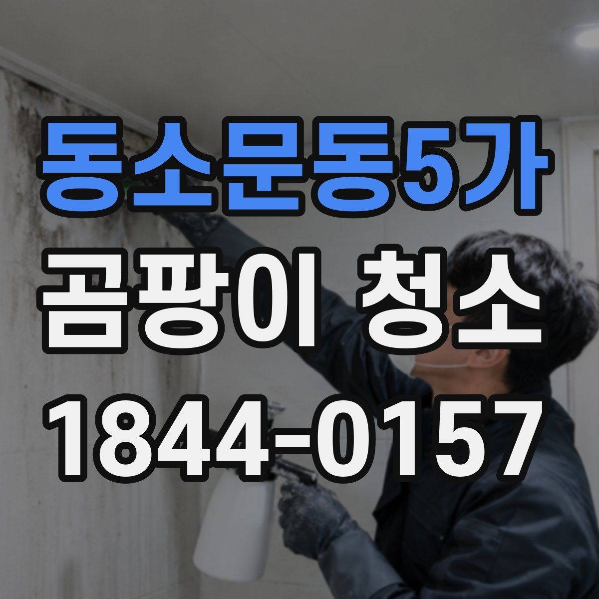 동소문동5가 곰팡이 청소