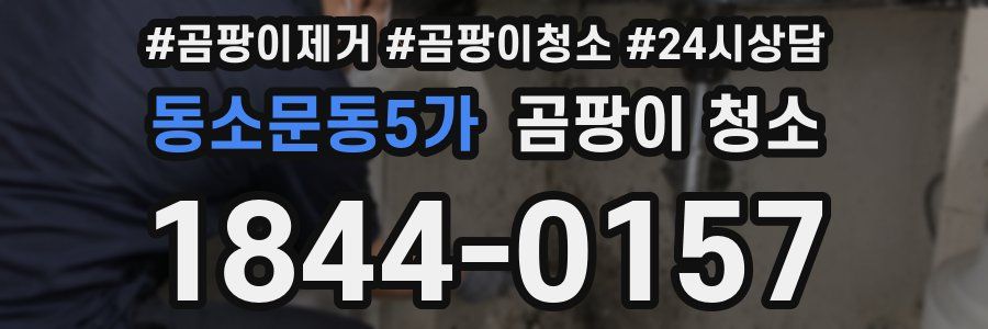 동소문동5가 곰팡이 청소