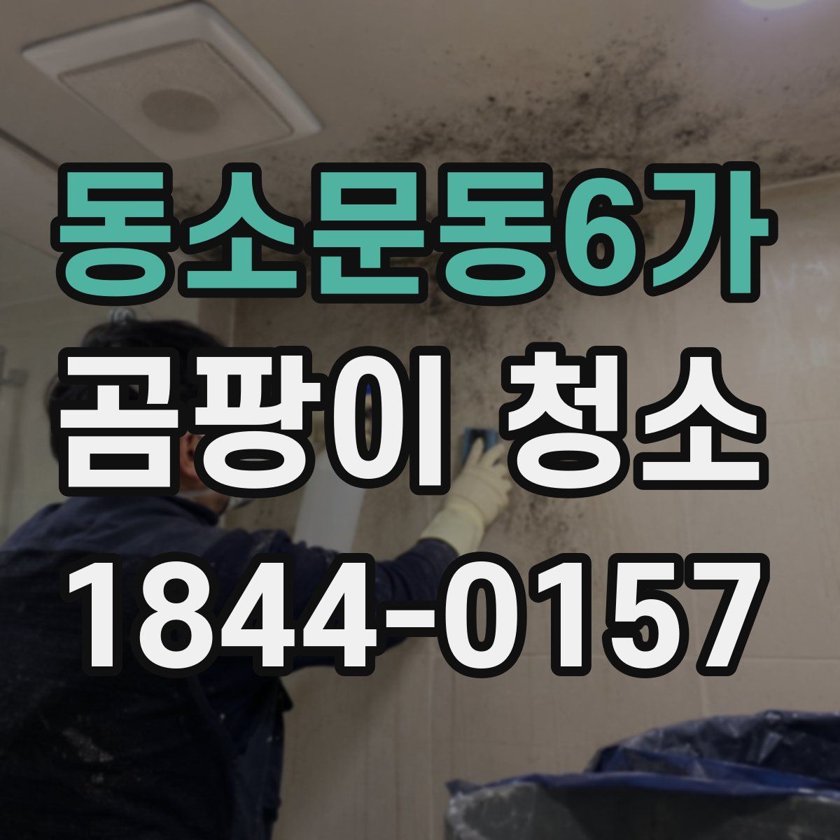 동소문동6가 곰팡이 청소