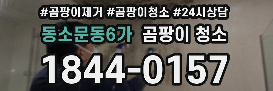동소문동6가 곰팡이 청소