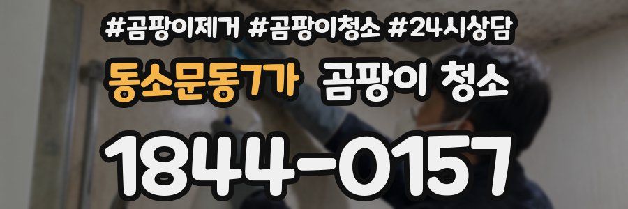 동소문동7가 곰팡이 청소