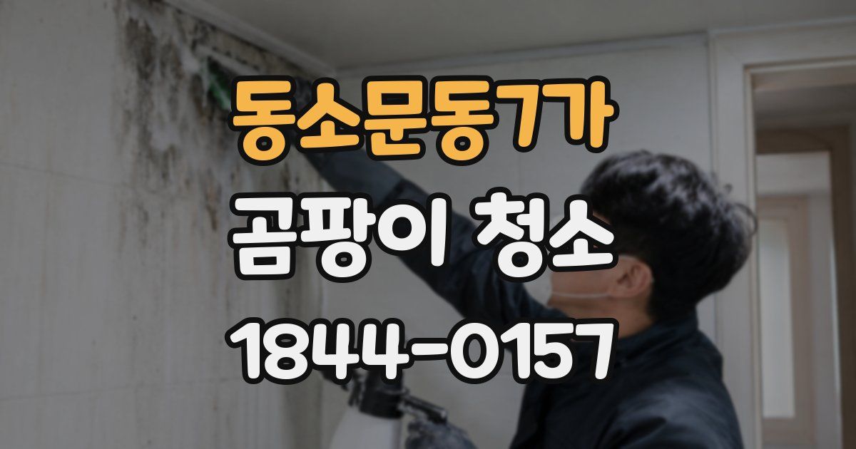 동소문동7가 곰팡이 청소