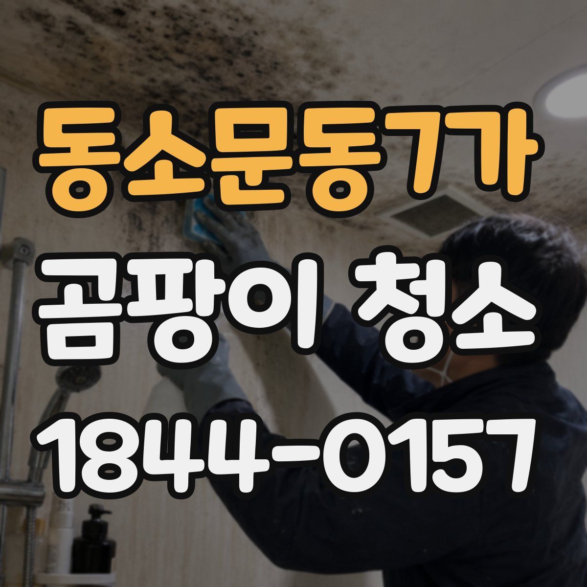 동소문동7가 곰팡이 청소