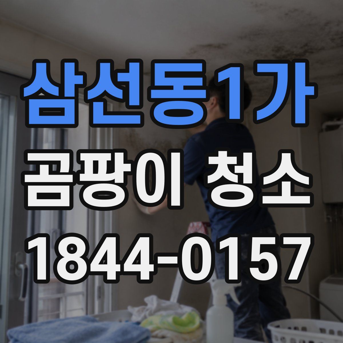 삼선동1가 곰팡이 청소