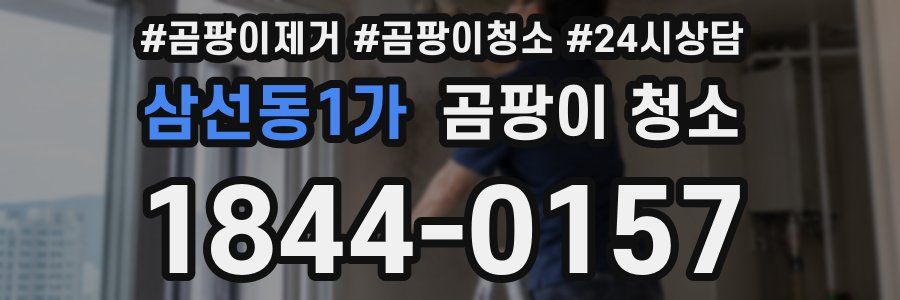 삼선동1가 곰팡이 청소