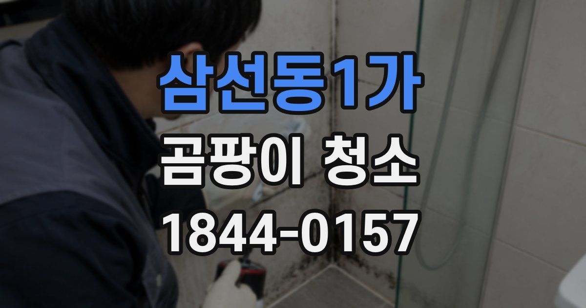 삼선동1가 곰팡이 청소