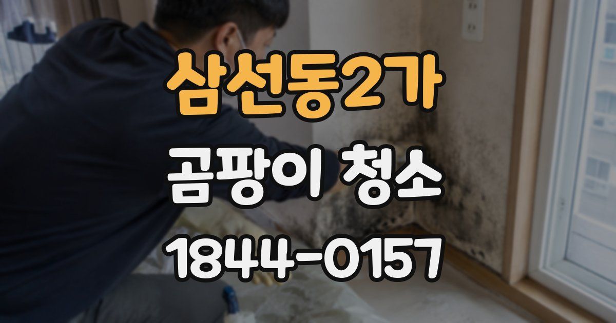 삼선동2가 곰팡이 청소