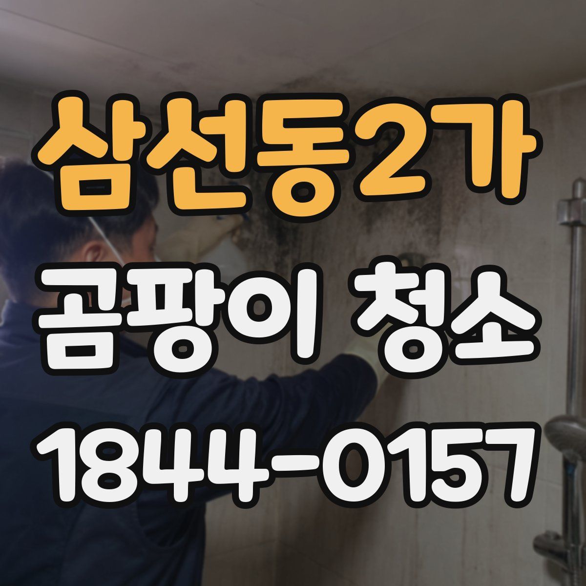 삼선동2가 곰팡이 청소