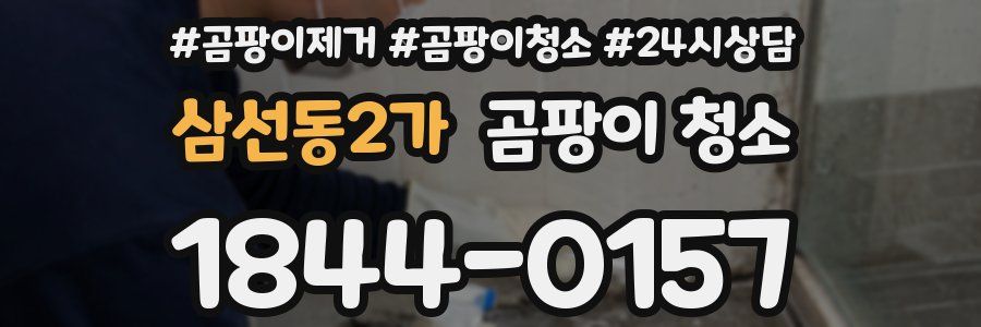 삼선동2가 곰팡이 청소