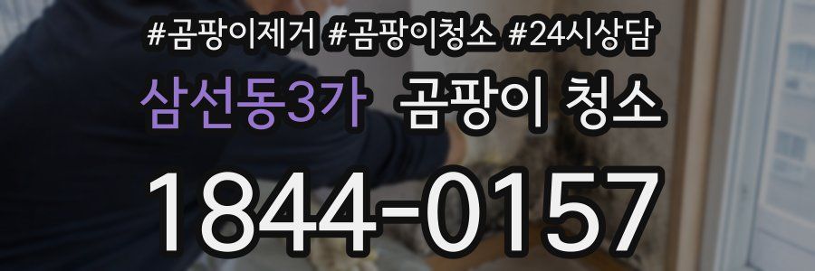 삼선동3가 곰팡이 청소