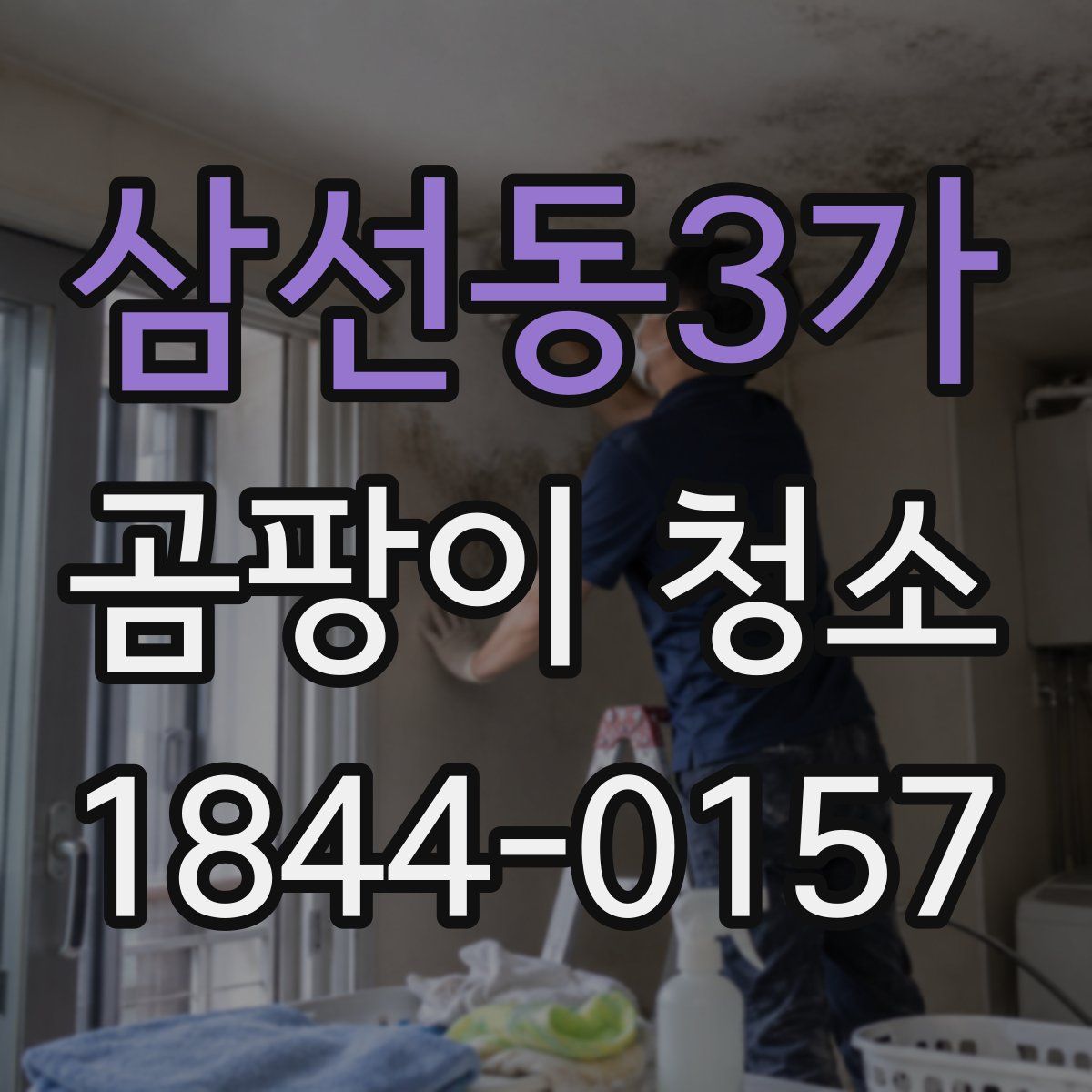 삼선동3가 곰팡이 청소