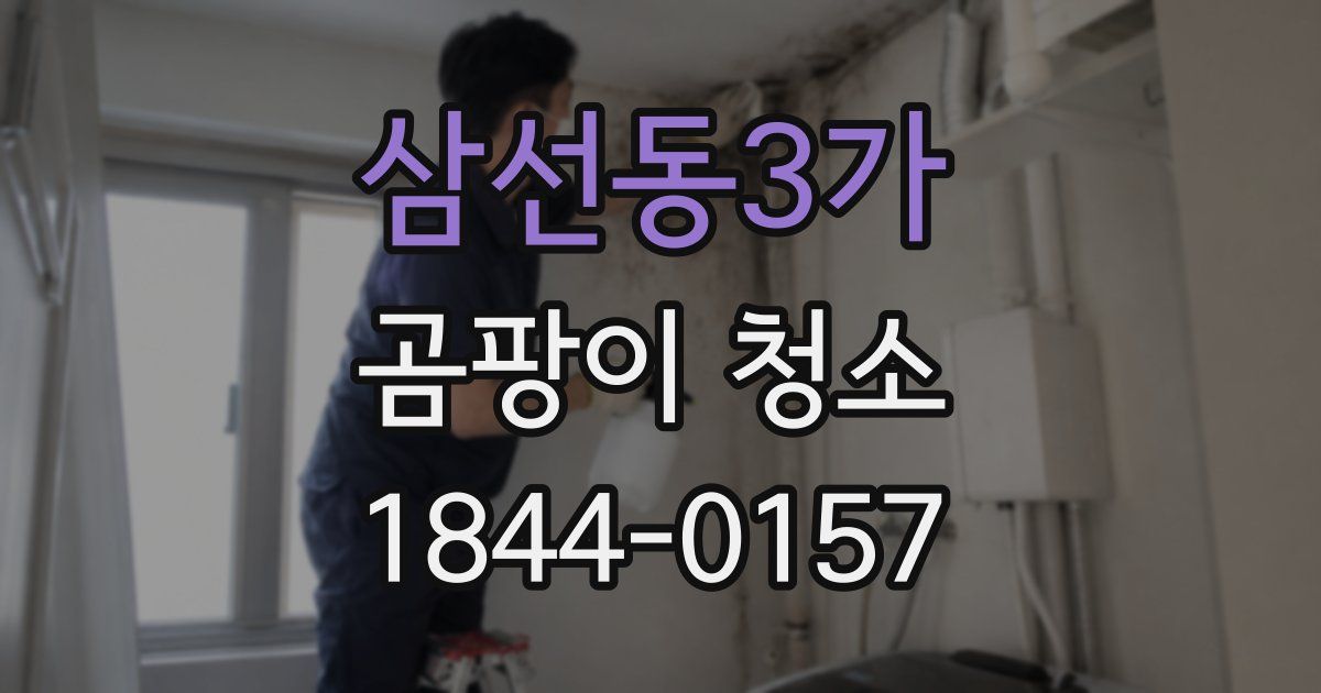 삼선동3가 곰팡이 청소