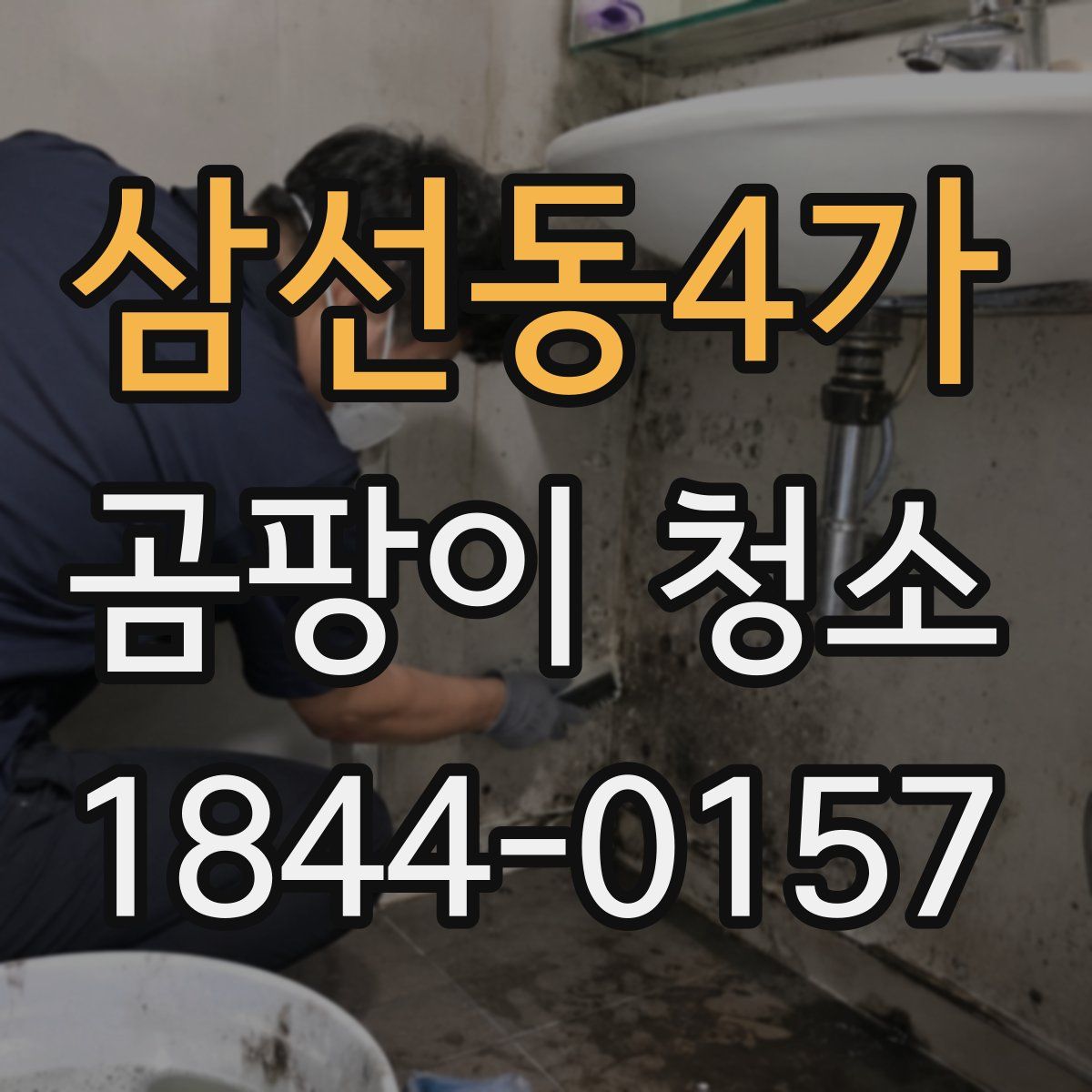삼선동4가 곰팡이 청소