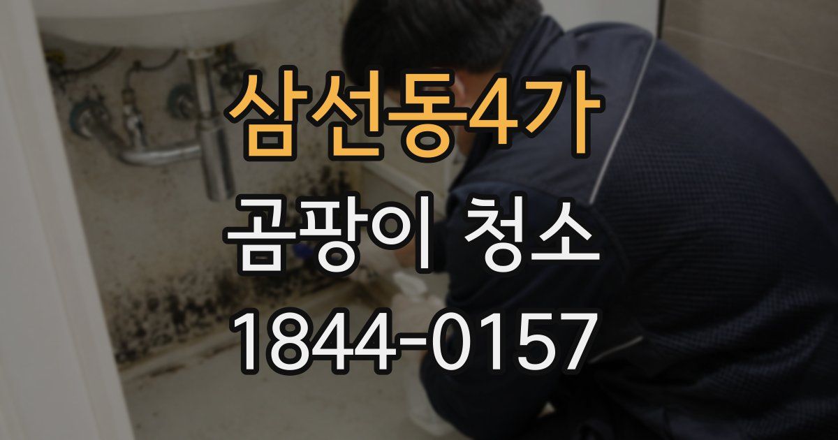 삼선동4가 곰팡이 청소