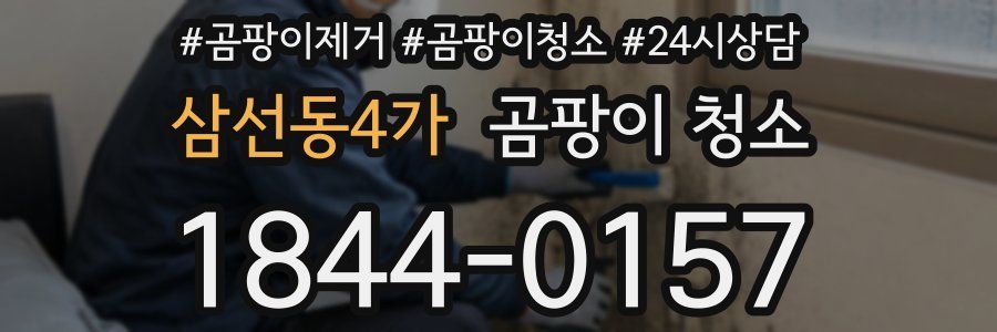 삼선동4가 곰팡이 청소