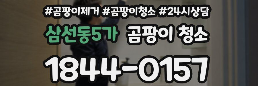 삼선동5가 곰팡이 청소