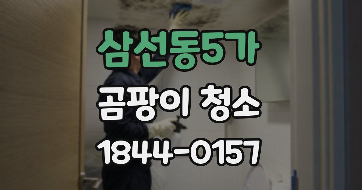 삼선동5가 곰팡이 청소