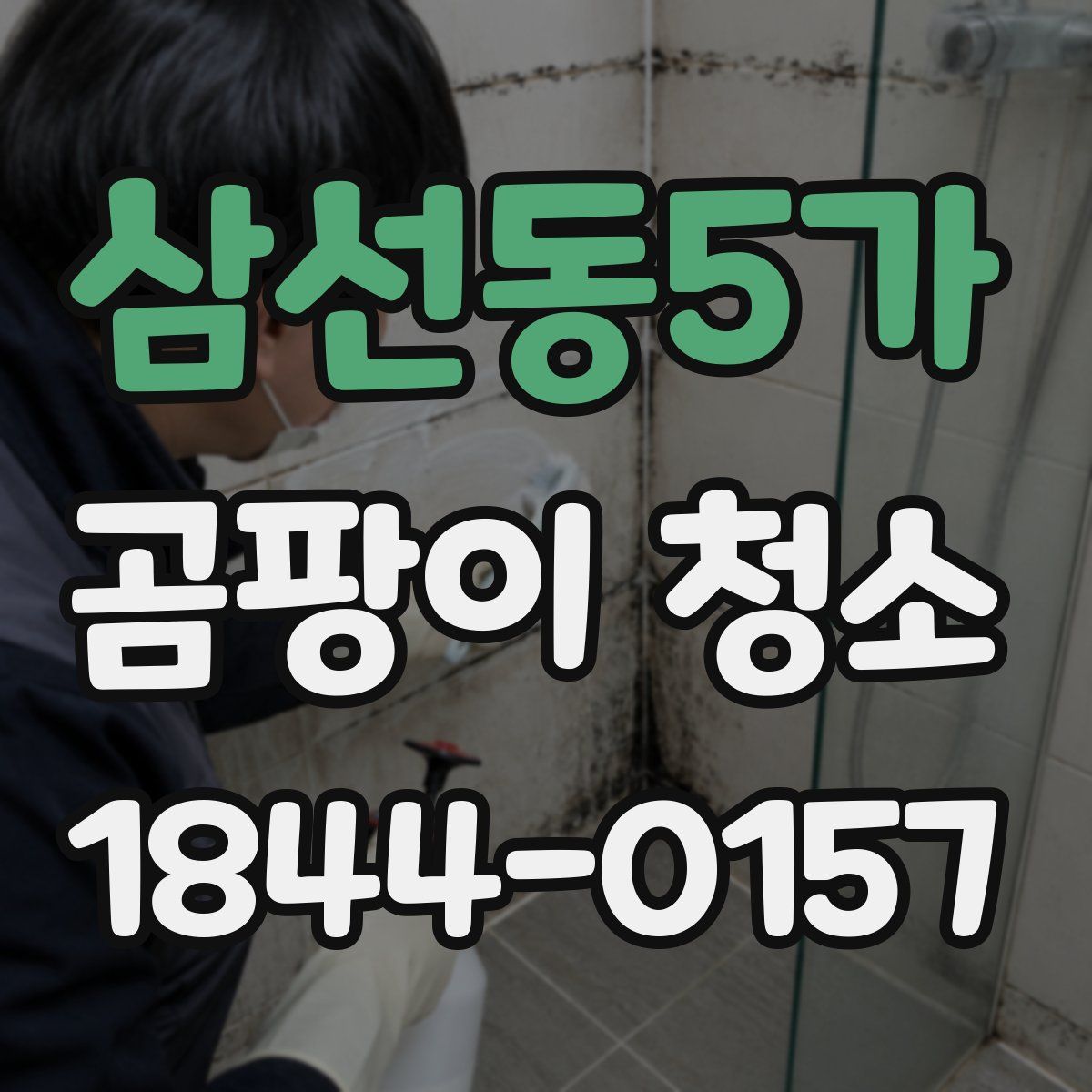 삼선동5가 곰팡이 청소