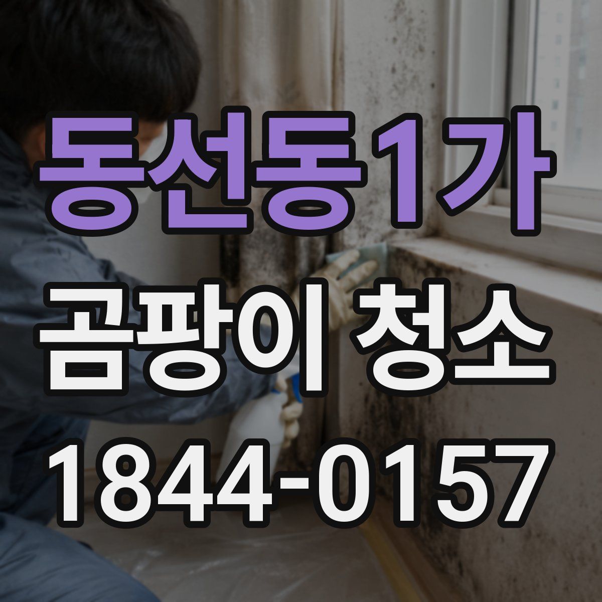 동선동1가 곰팡이 청소