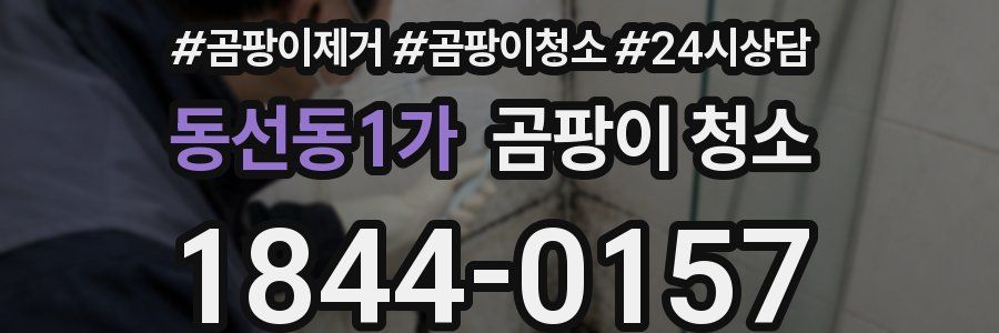 동선동1가 곰팡이 청소